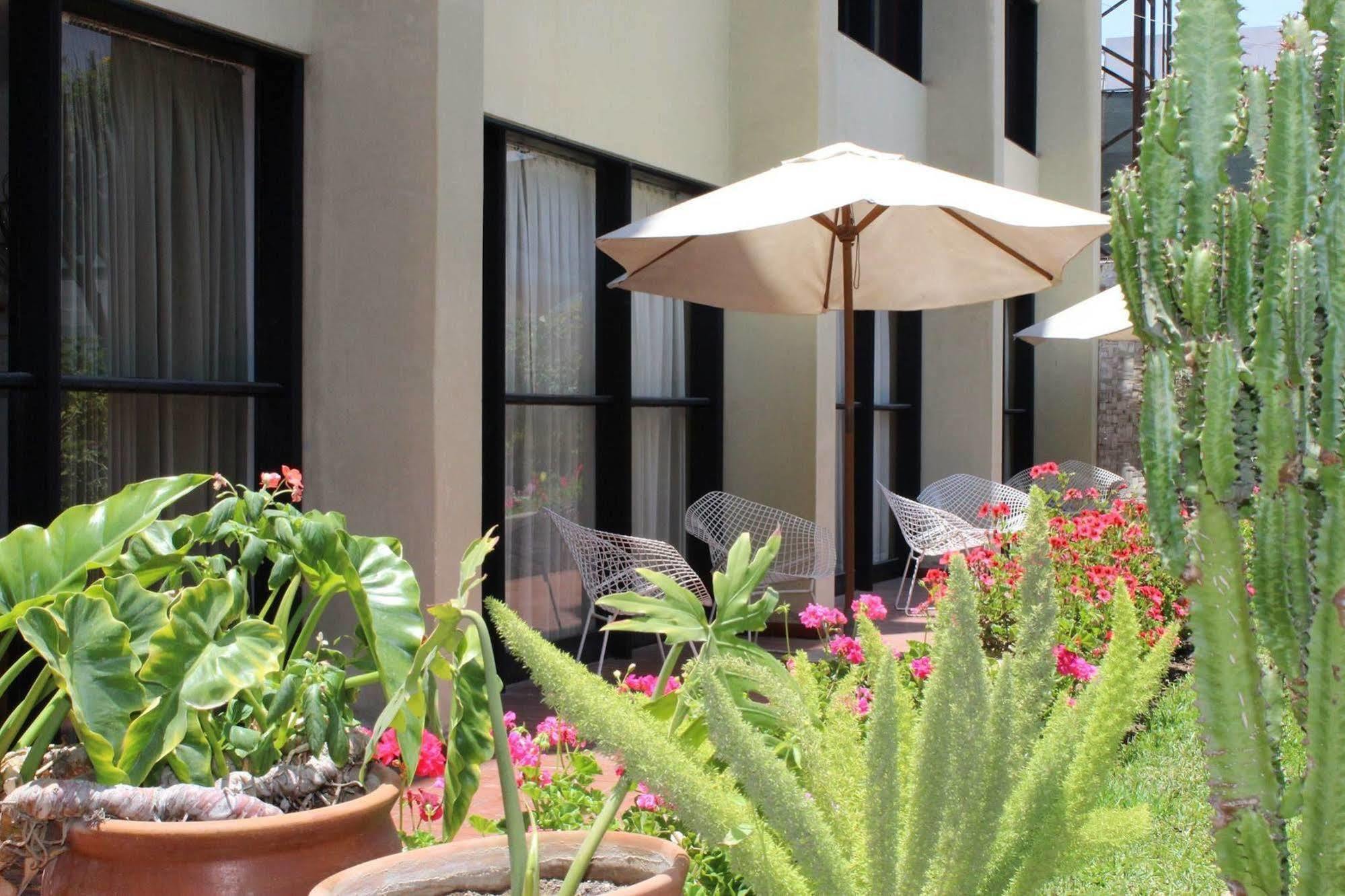 Holiday Suites Tacna Ngoại thất bức ảnh